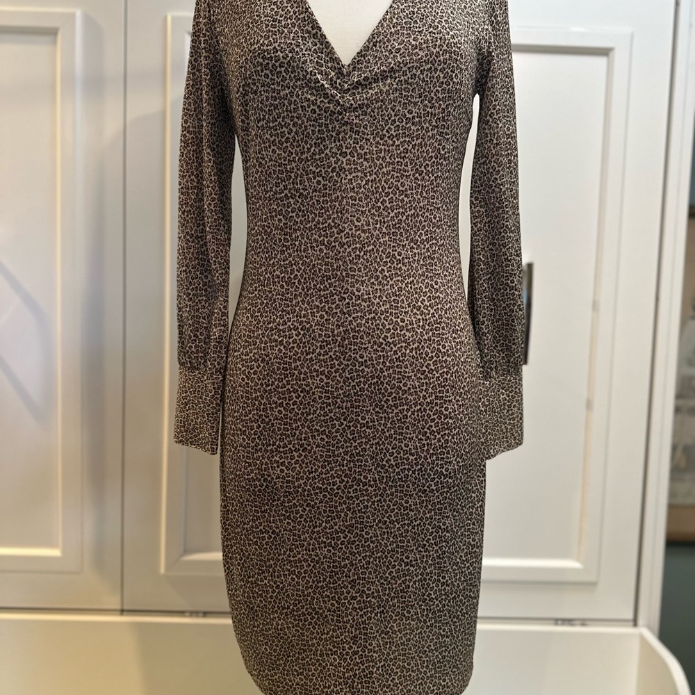 Express Shimmery and Sexy Animal print V Neck Dress